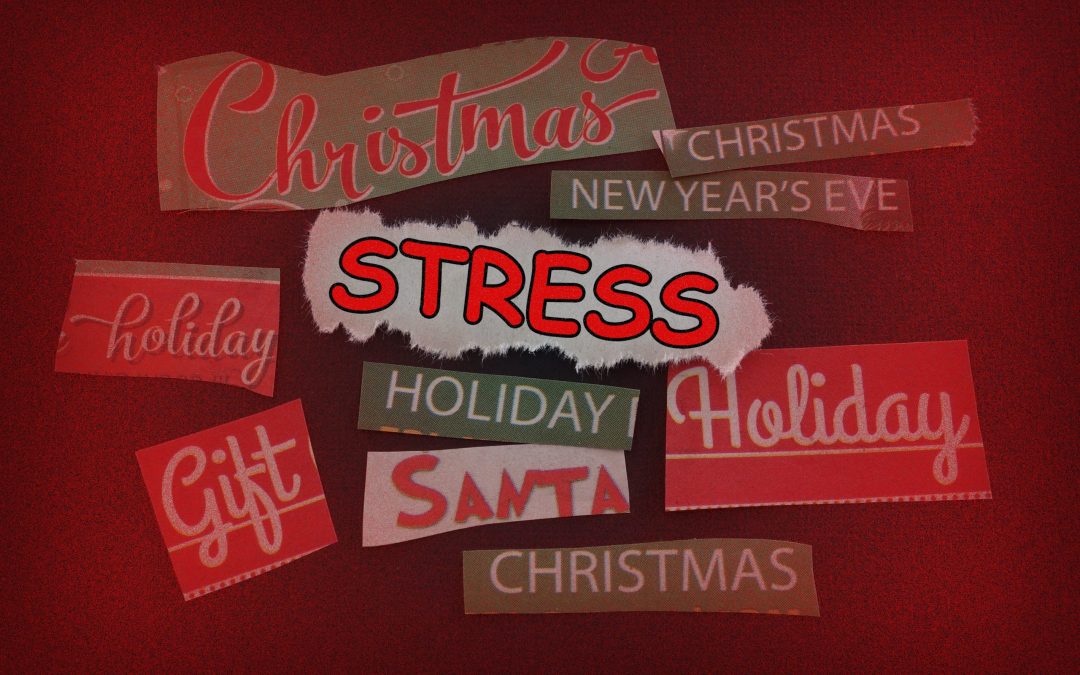 Stress Free Holidays…Is It Possible?